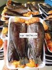 Sặc trứng 1n